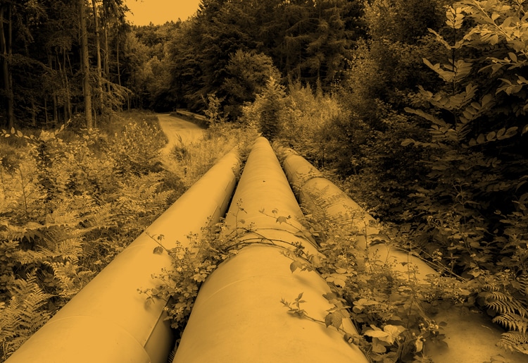 Power and Transmission long pipes in woods with pine trees in southwestern Pennsylvania